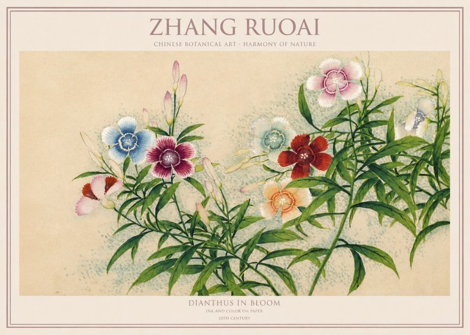 Zhang Ruoai Dianthus in Bloom No1 - Plakat