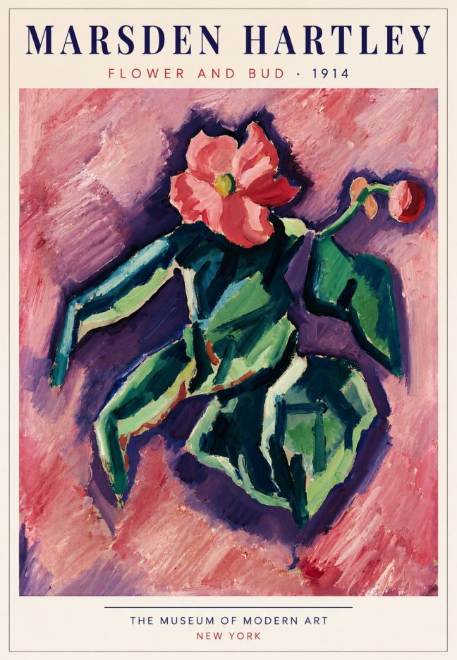 Marsden Hartley Flower and Bud No5 - Plakat