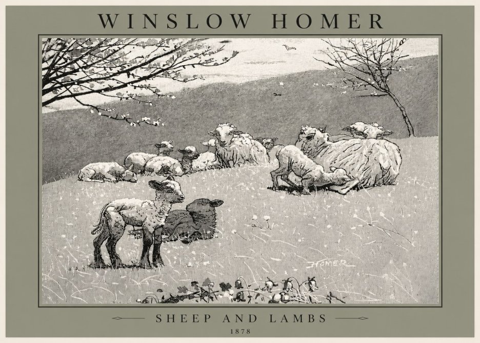 Winslow Homer Sheep and Lambs No2 - Plakat