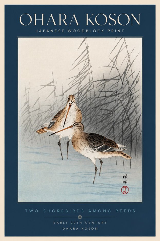 Ohara Koson Snipe in the Reeds No4 - Plakat