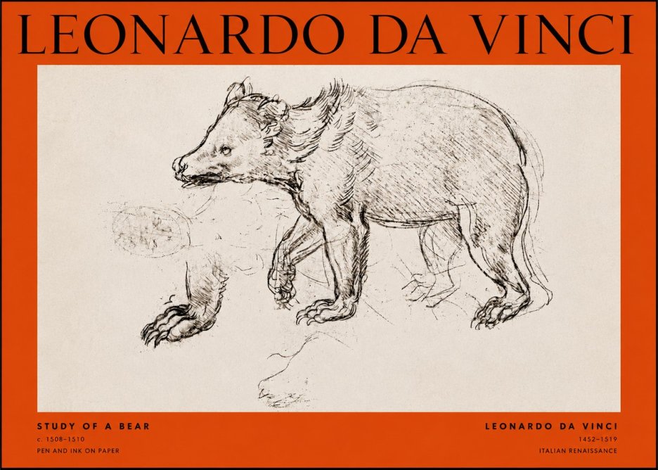 Leonardo da Vinci Study of a Bear No2 - Plakat