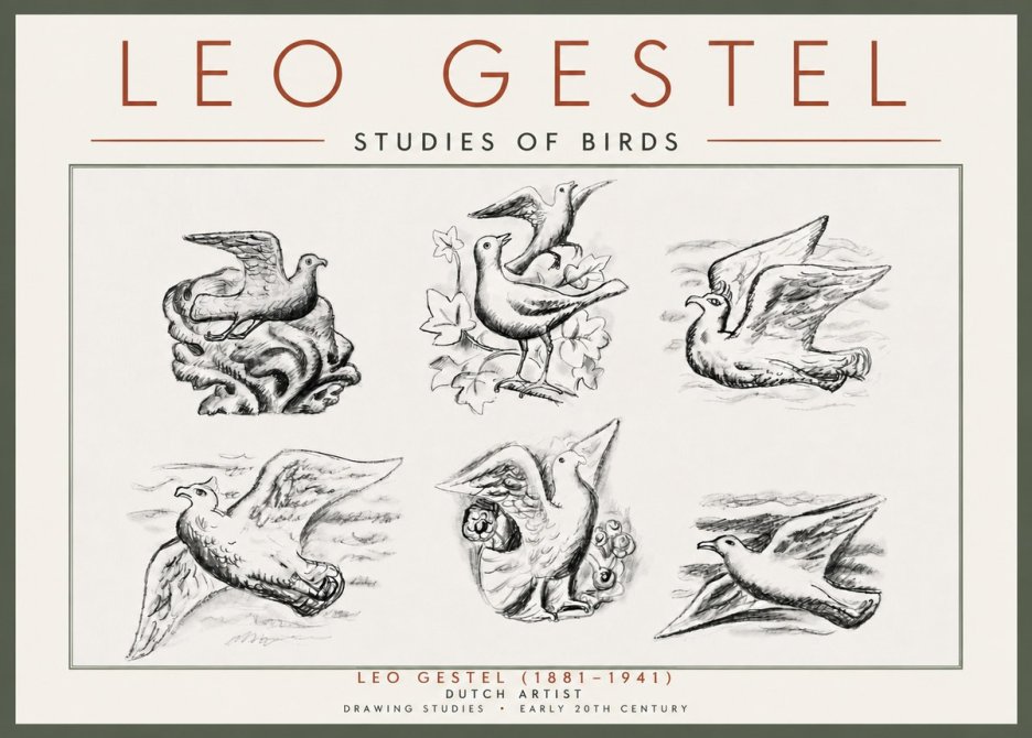 Leo Gestel Studies of Birds No5 - Plakat