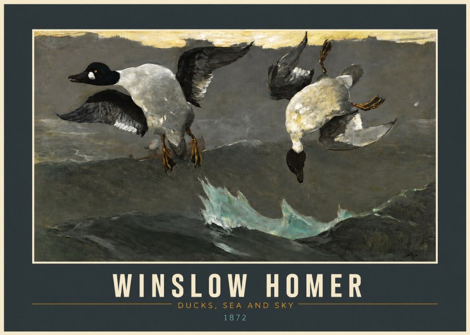 Winslow Homer Ducks, Sea and Sky No2 - Plakat
