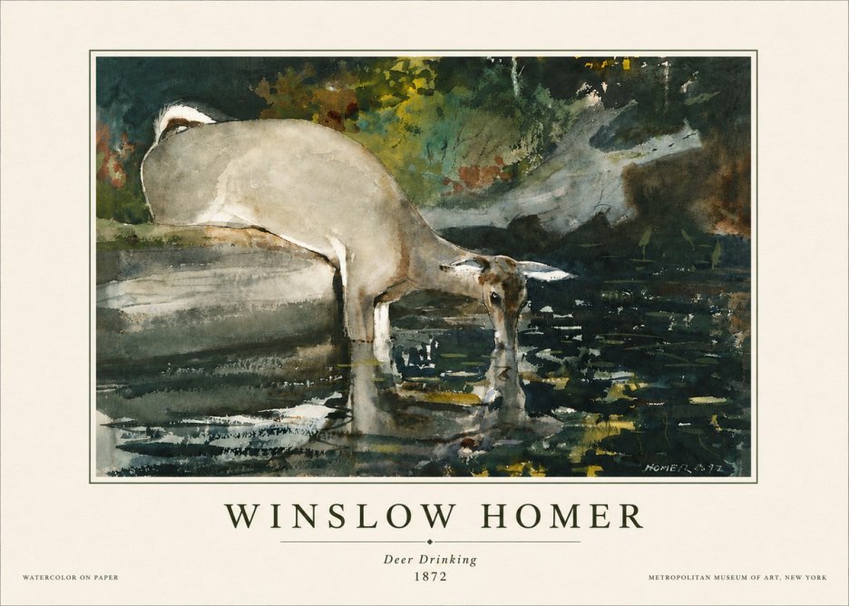 Winslow Homer Deer Drinking No5 - Plakat