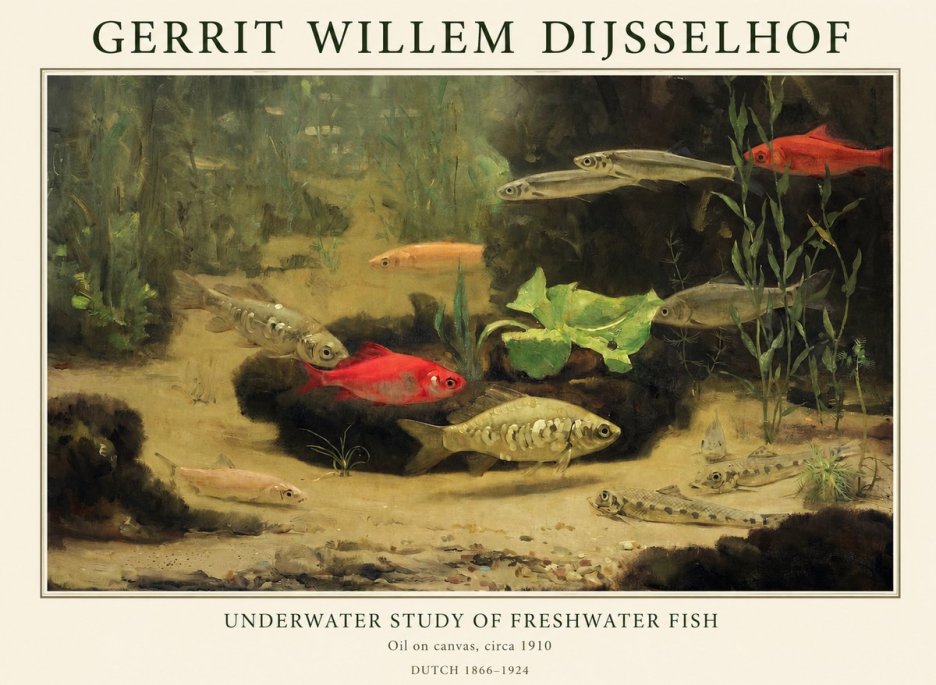 Gerrit Willem Dijsselhof Underwater Study of Freshwater Fish No1 - Plakat