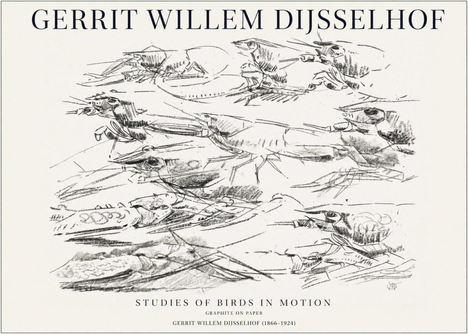 Gerrit Willem Dijsselhof Studies of Birds in Motion No1 - Plakat