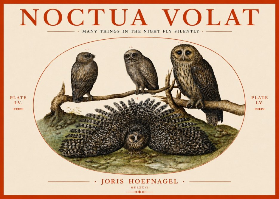 Joris Hoefnagel Noctva Volat No4 - Plakat