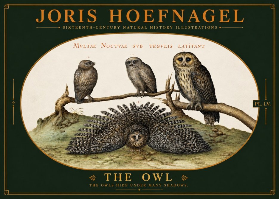 Joris Hoefnagel Noctva Volat No6 - Plakat
