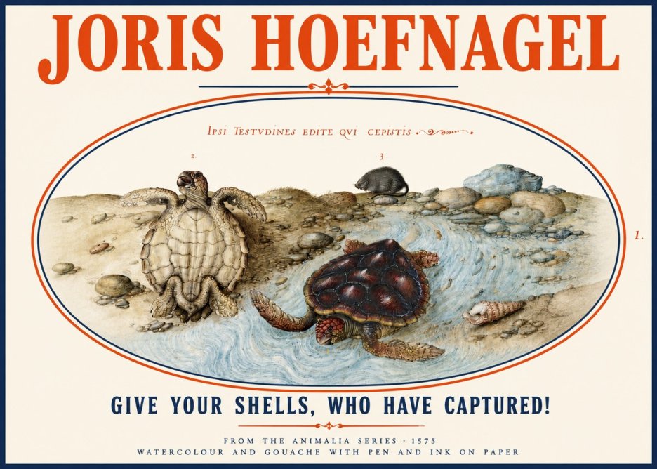 Joris Hoefnagel Two Turtles in a Stream No4 - Plakat