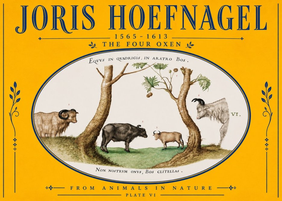 Joris Hoefnagel The Four Oxen No5 - Plakat