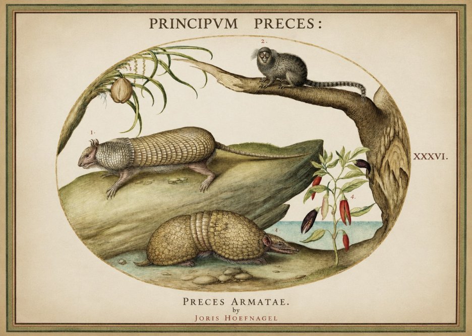 Joris Hoefnagel Praeces Armatae. No2 - Plakat