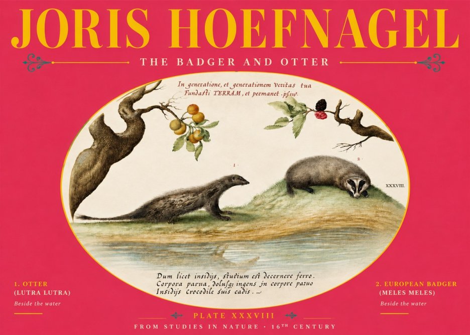 Joris Hoefnagel Studies of Animals and Nature Xxxxiii No6 - Plakat