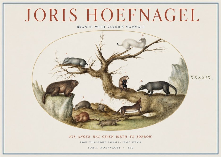 Joris Hoefnagel Branch with Various Mammals No1 - Plakat