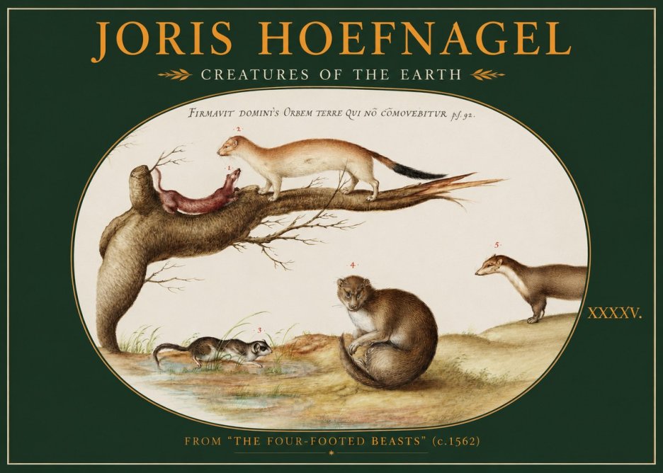 Joris Hoefnagel Creatures of the Earth I No2 - Plakat