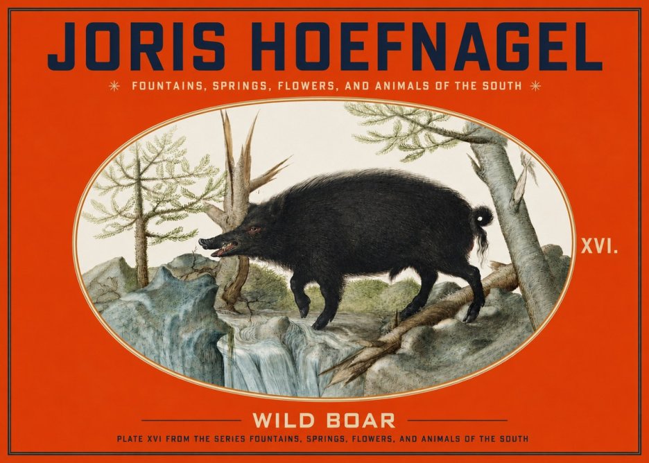 Joris Hoefnagel Fountains, Springs, Flowers, and Animals of the South - Plate Xvi No3 - Plakat
