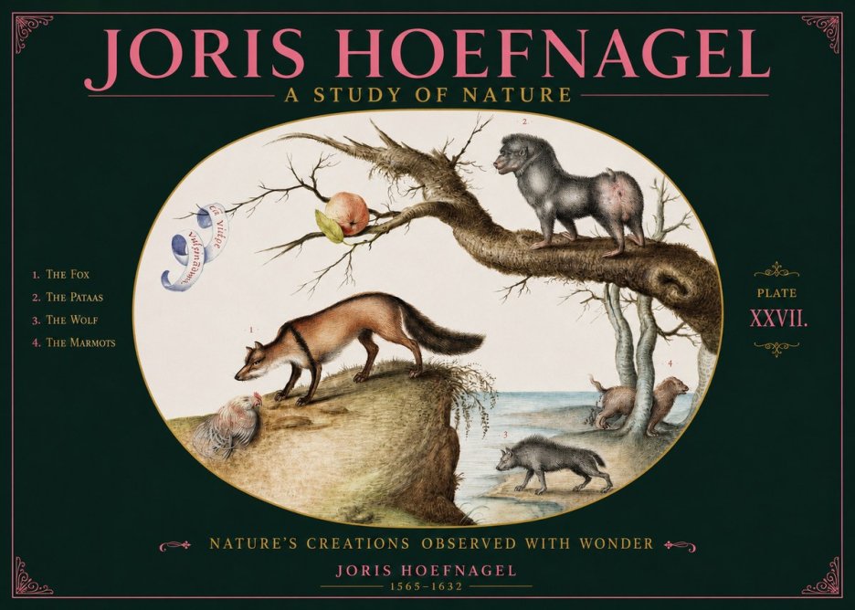 Joris Hoefnagel A Study of Nature - Plate Xxvii No2 - Plakat