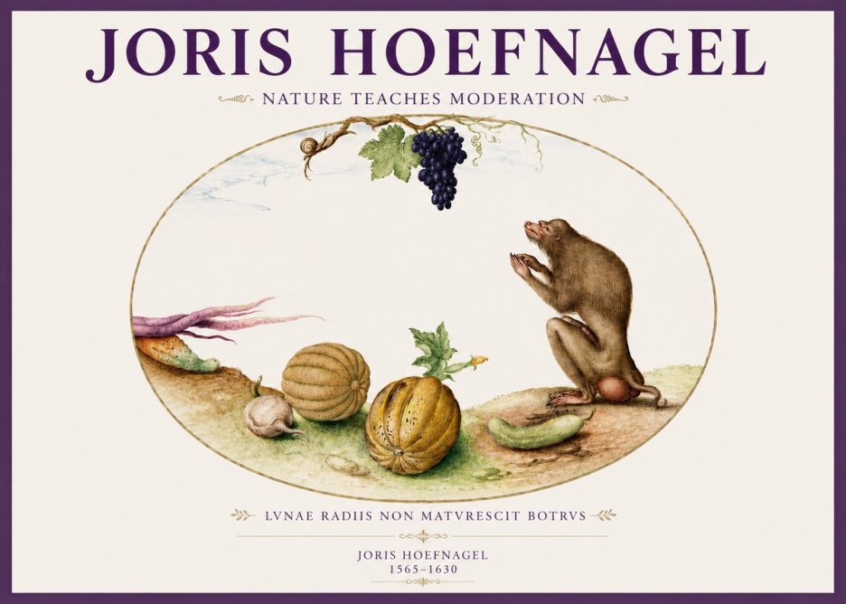 Joris Hoefnagel Nature Teaches Moderation No3 - Plakat
