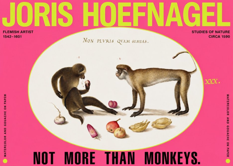 Joris Hoefnagel Not More Than Monkeys No2 - Plakat
