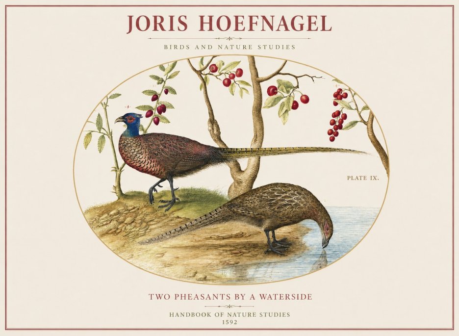 Joris Hoefnagel Peacocks and Pheasants Among Fruiting Branches No2 - Plakat