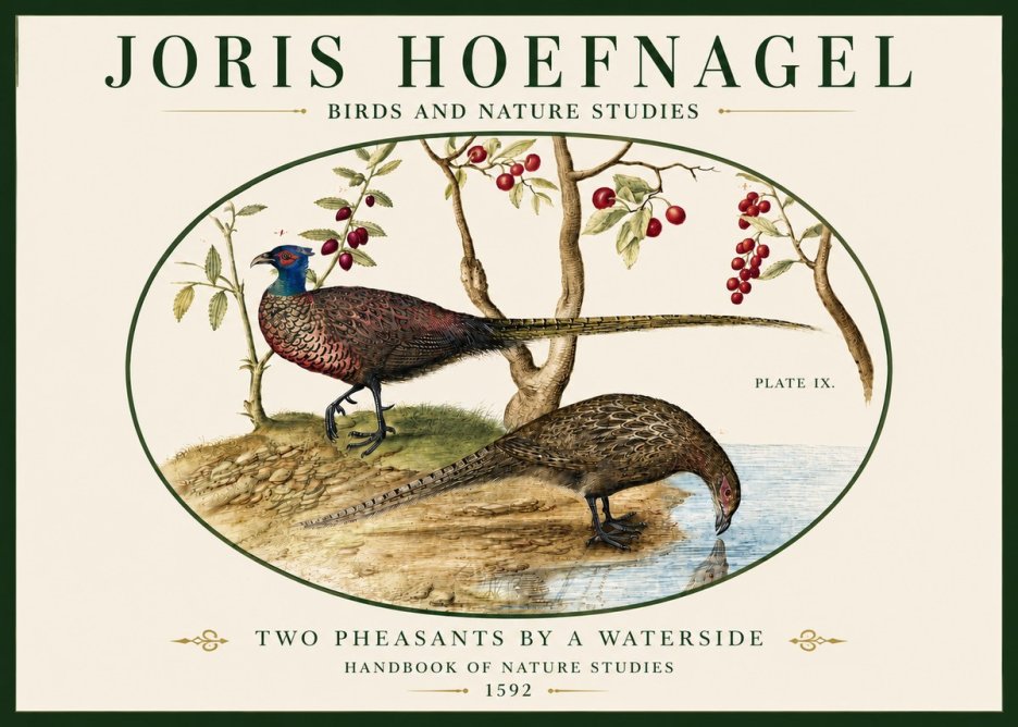 Joris Hoefnagel Peacocks and Pheasants Among Fruiting Branches No5 - Plakat