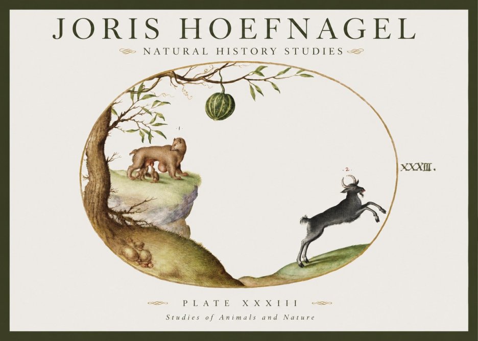 Joris Hoefnagel Plate Xxxiii No1 - Plakat