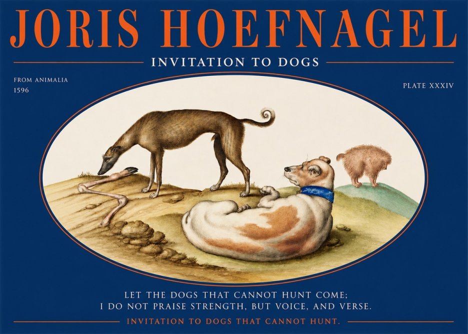 Joris Hoefnagel Invitation to Dogs No2 - Plakat
