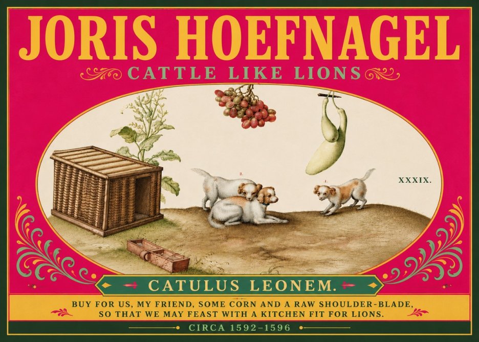 Joris Hoefnagel Cattle Like Lions No6 - Plakat