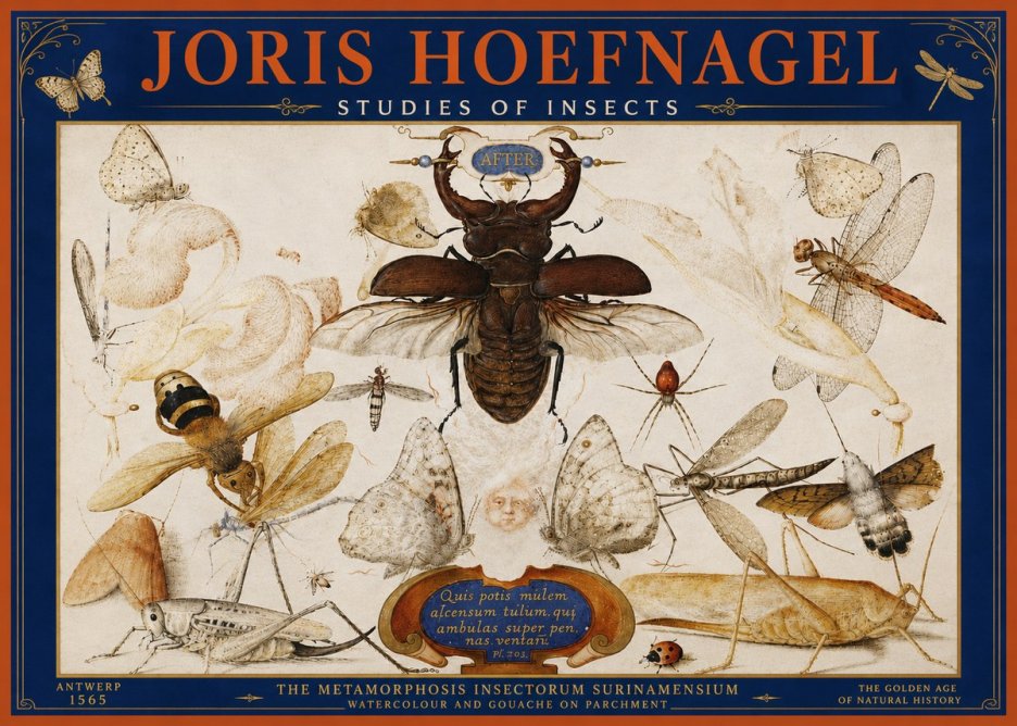 Joris Hoefnagel Studies of Insects I No4 - Plakat