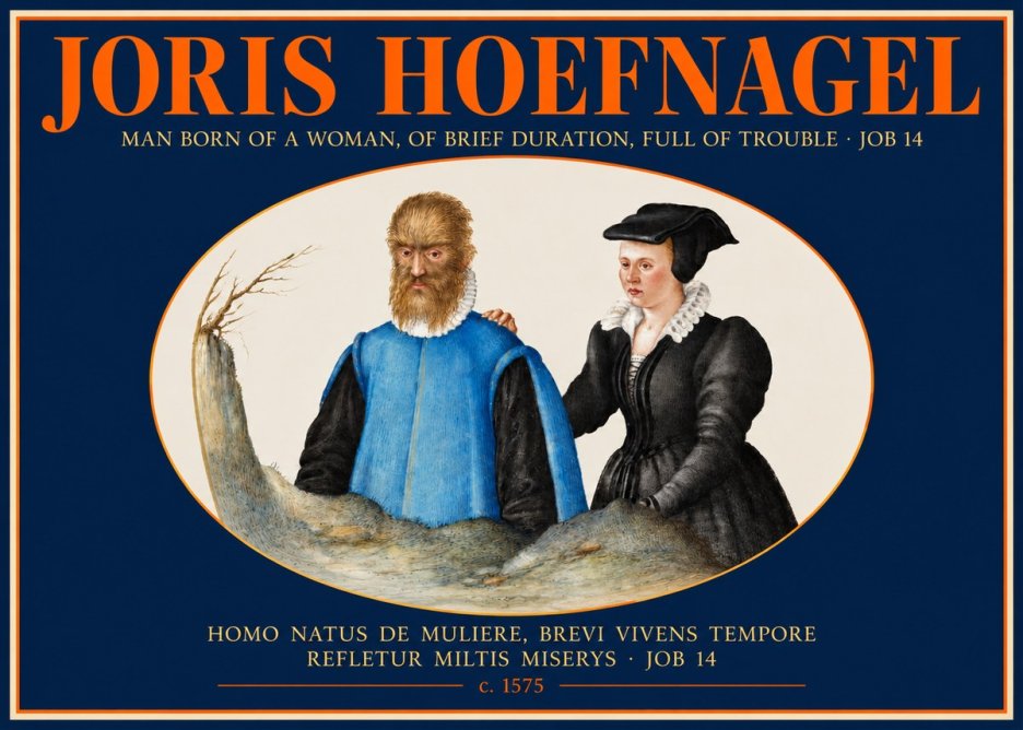 Joris Hoefnagel Homo Natus De Muliere, Brevi Vivens Tempore Refletur Miltis Miserys · Job 14 No2 - Plakat