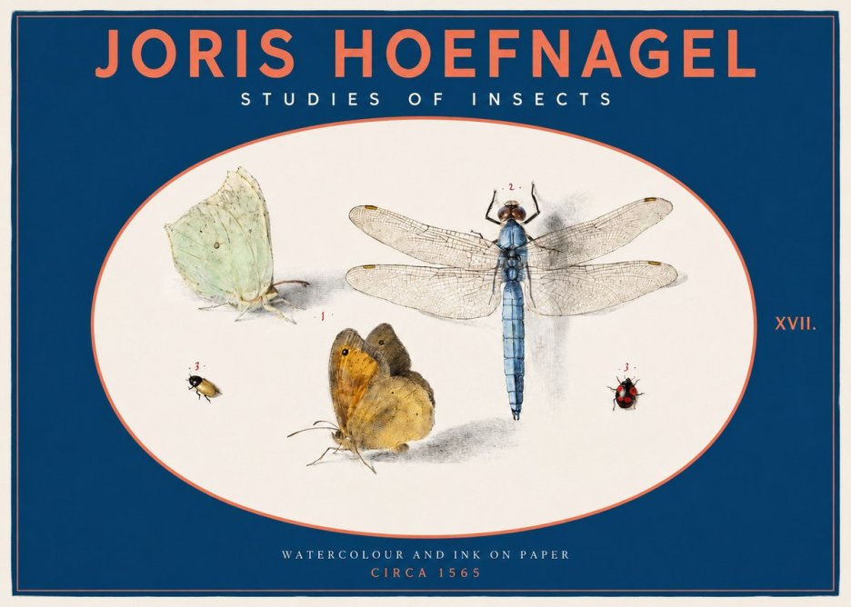 Joris Hoefnagel A Study of Butterflies, Dragonflies and Beetles No3 - Plakat