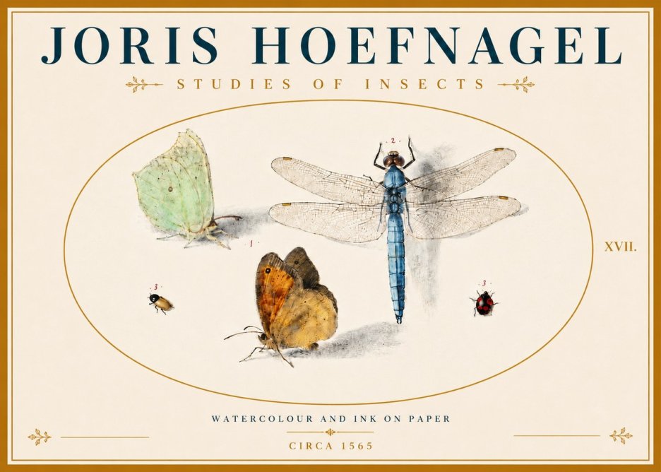 Joris Hoefnagel A Study of Butterflies, Dragonflies and Beetles No6 - Plakat