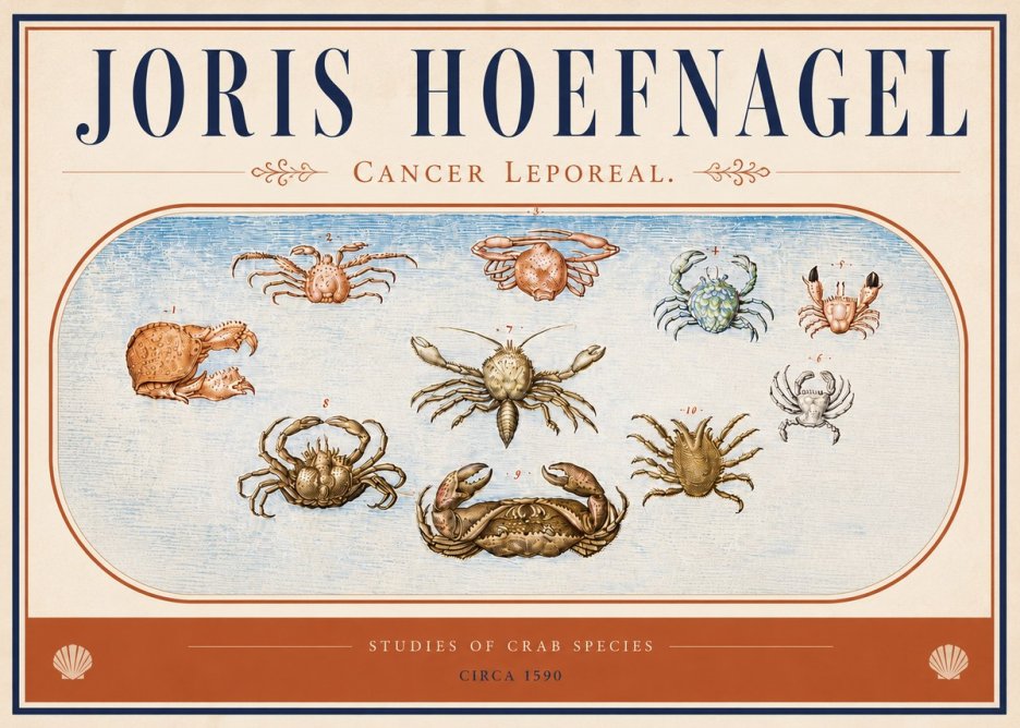 Joris Hoefnagel Cancer Leporeal. No4 - Plakat
