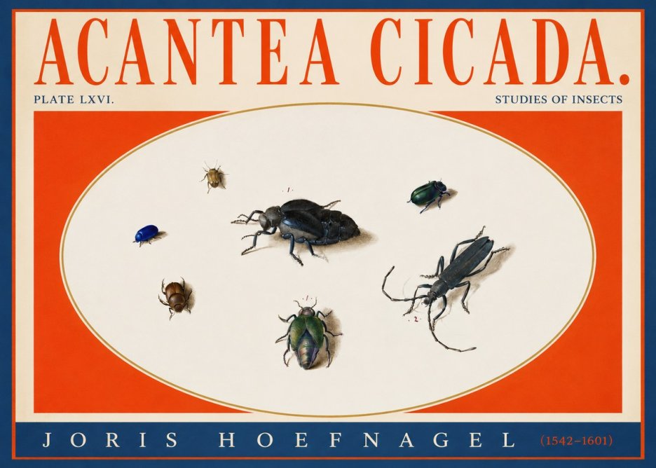 Joris Hoefnagel Acanthia Cicada No4 - Plakat