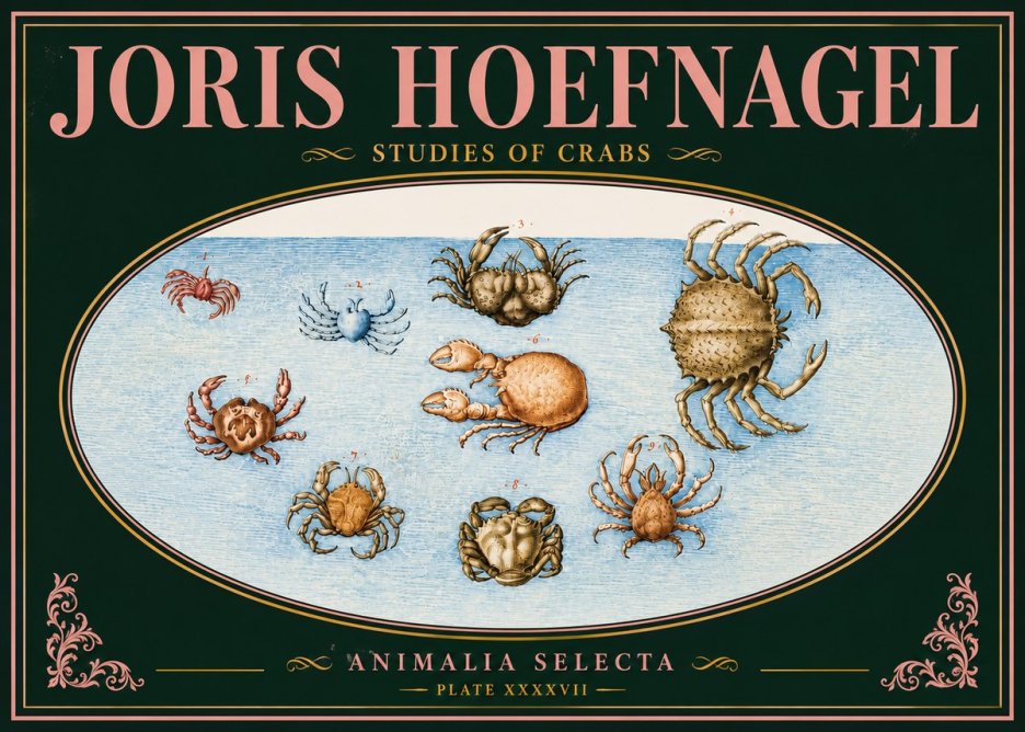 Joris Hoefnagel Studies of Crabs No5 - Plakat