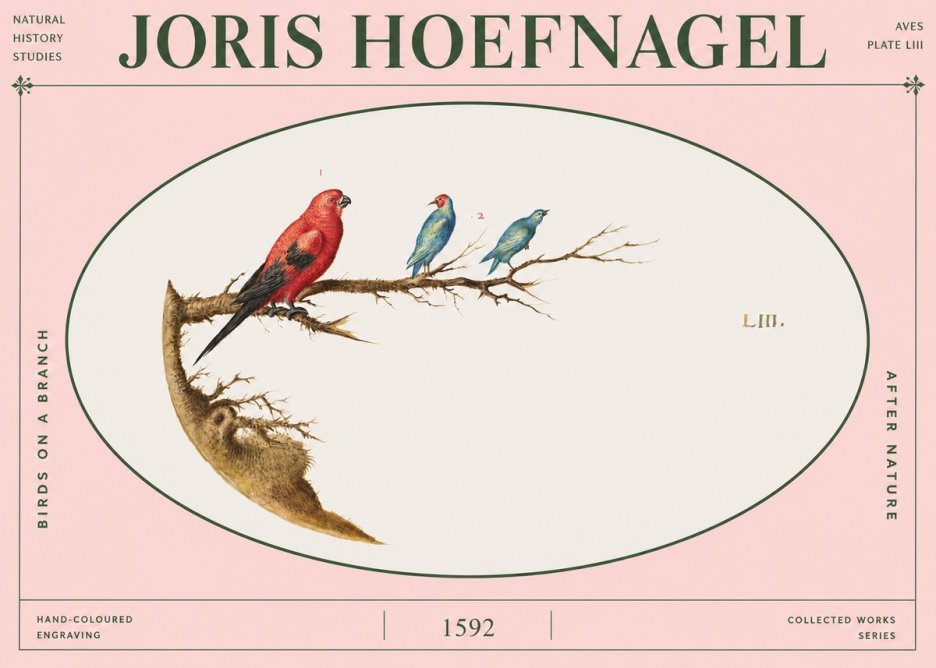 Joris Hoefnagel Birds on a Branch No4 - Plakat
