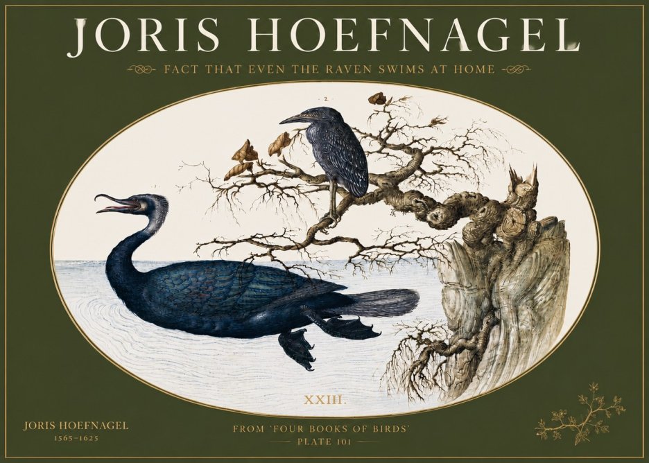 Joris Hoefnagel Fact That Even the Raven Swims at Home No3 - Plakat