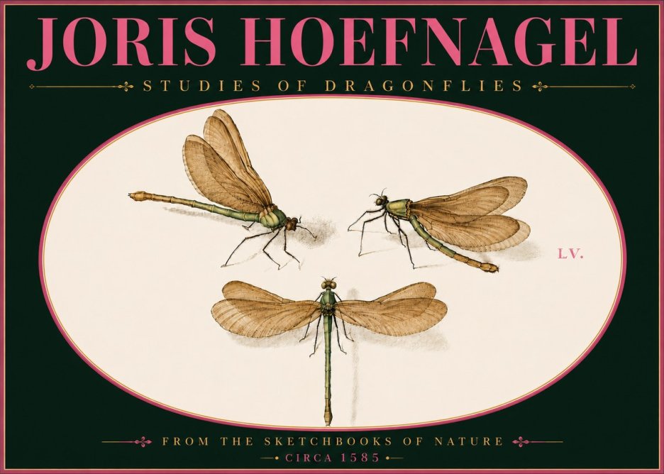 Joris Hoefnagel Studies of Dragonflies No6 - Plakat