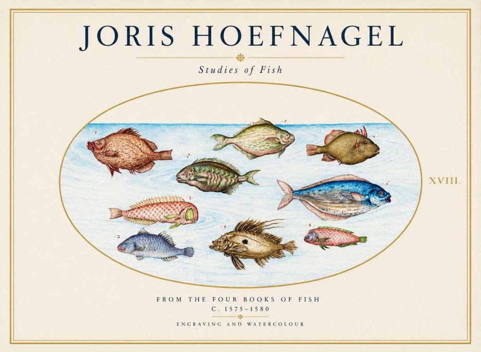 Joris Hoefnagel Studies of Fish I No1 - Plakat