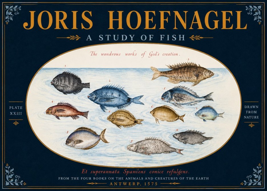 Joris Hoefnagel A Study of Fish No5 - Plakat
