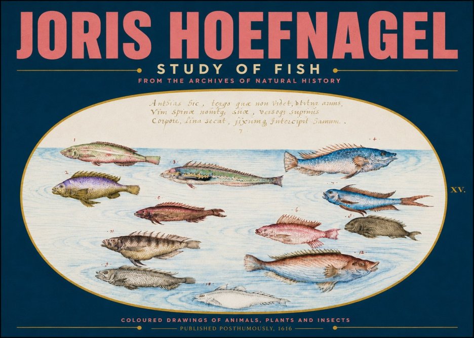 Joris Hoefnagel Study of Fish No4 - Plakat