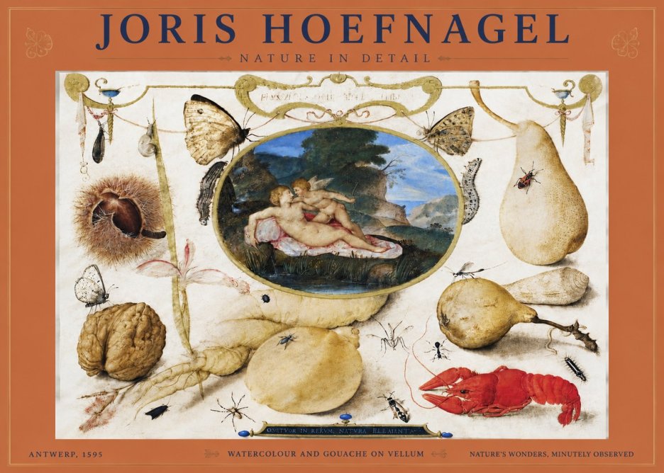 Joris Hoefnagel Nature in Detail No4 - Plakat