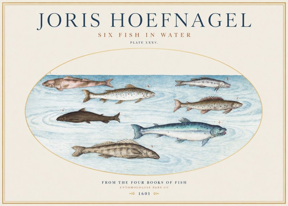 Joris Hoefnagel Six Fishes in Water I No5 - Plakat