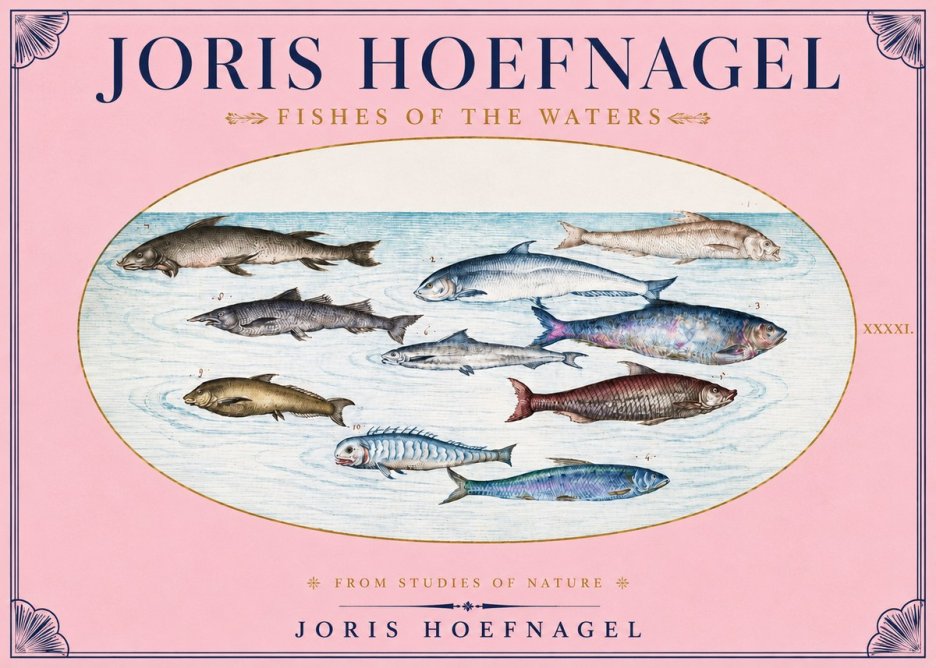 Joris Hoefnagel Fishes of the Waters II No3 - Plakat