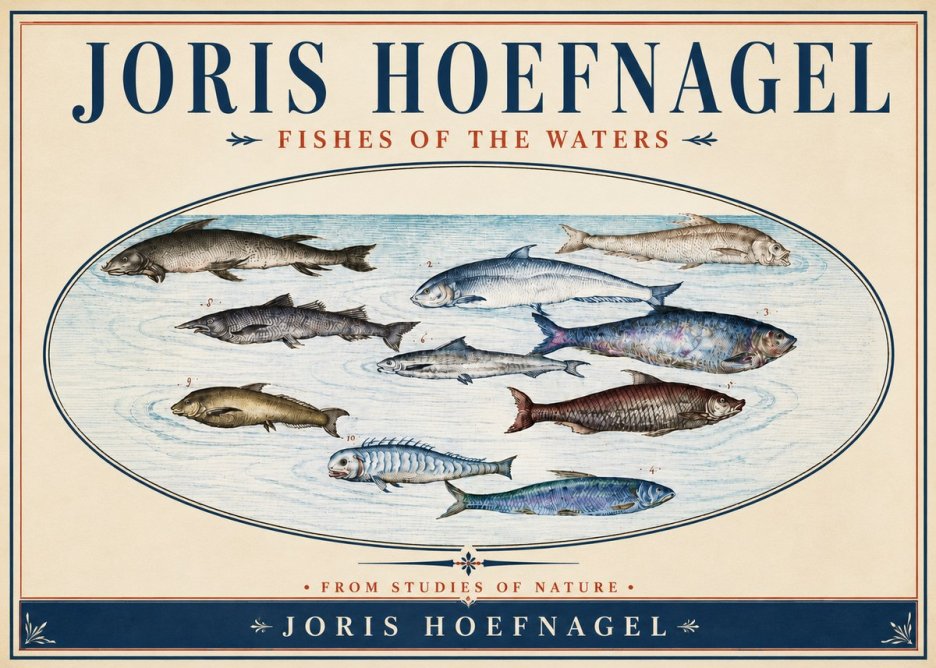 Joris Hoefnagel Fishes of the Waters II No4 - Plakat