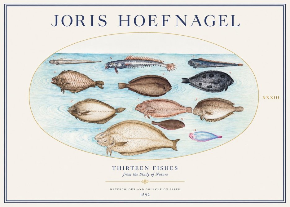 Joris Hoefnagel Thirteen Fishes from the Study of Nature No1 - Plakat