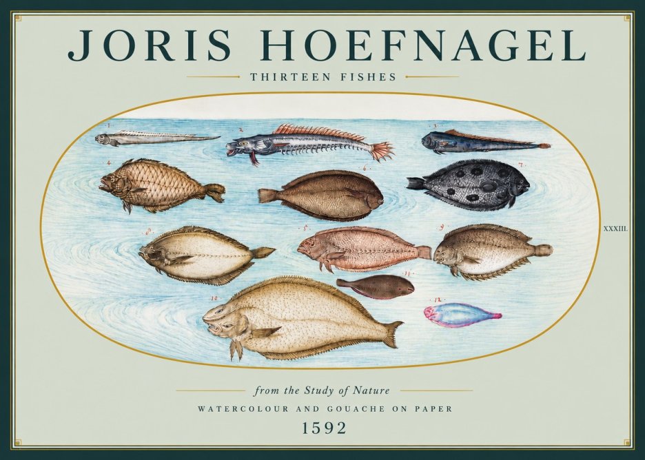 Joris Hoefnagel Thirteen Fishes from the Study of Nature No3 - Plakat