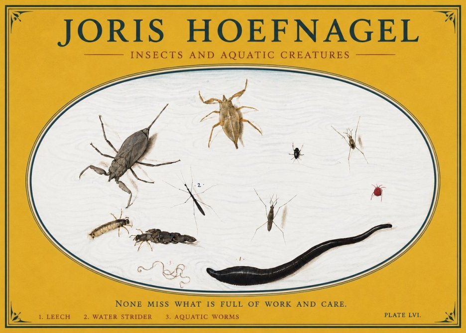Joris Hoefnagel Insects and Aquatic Creatures No3 - Plakat