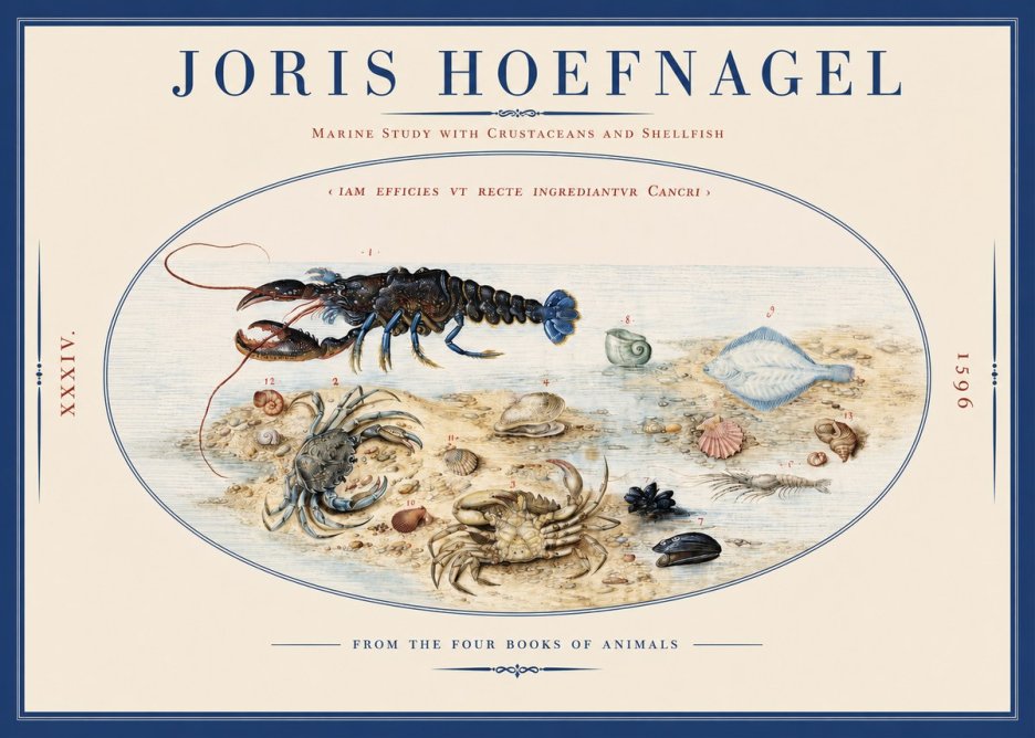 Joris Hoefnagel Marine Study with Crustaceans and Shellfish No2 - Plakat