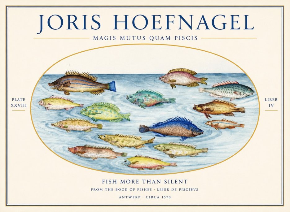 Joris Hoefnagel Fish More Than Silent No1 - Plakat