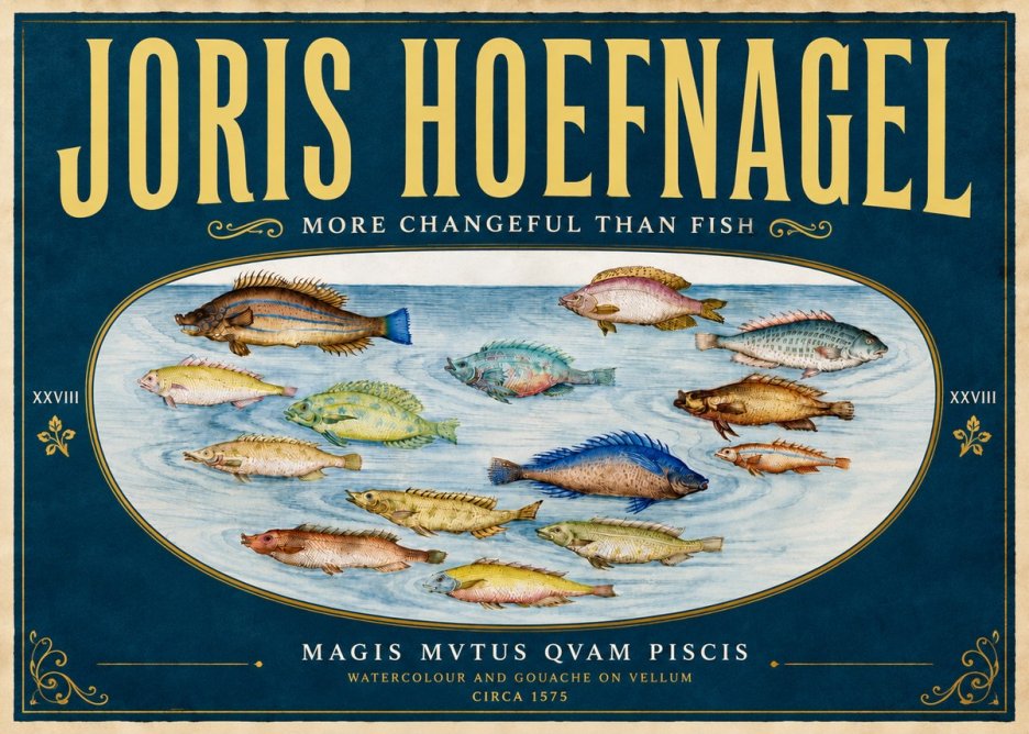 Joris Hoefnagel Fish More Than Silent No6 - Plakat